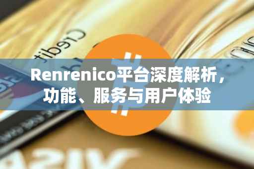 Renrenico平台深度解析，功能、服务与用户体验