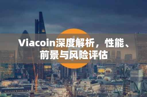 Viacoin深度解析，性能、前景与风险评估