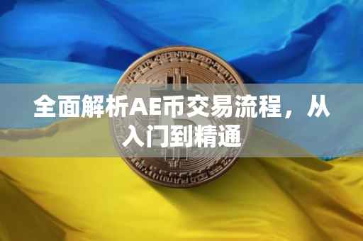 全面解析AE币交易流程,从入门到精通