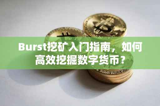 Burst挖矿入门指南，如何高效挖掘数字货币？