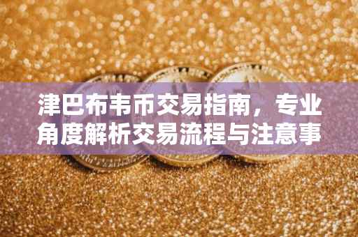 津巴布韦币交易指南，专业角度解析交易流程与注意事项