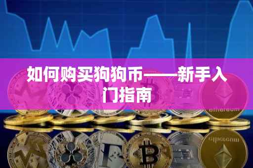 如何购买狗狗币——新手入门指南