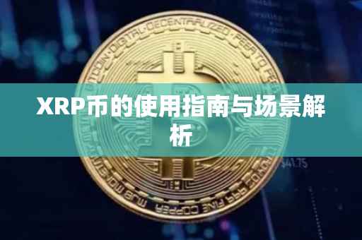 XRP币的使用指南与场景解析