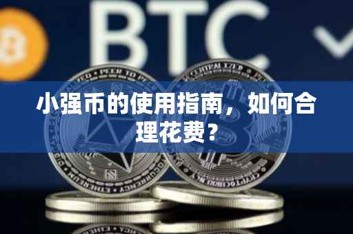 小强币的使用指南,如何合理花费?