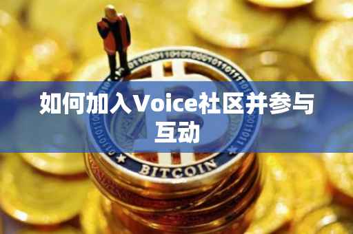 如何加入Voice社区并参与互动