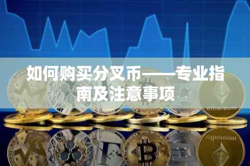 如何购买分叉币——专业指南及注意事项
