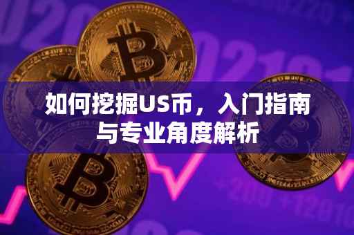 如何挖掘US币，入门指南与专业角度解析