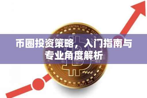 币圈投资策略，入门指南与专业角度解析