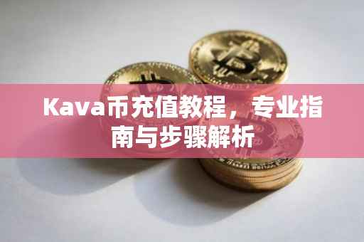 Kava币充值教程，专业指南与步骤解析