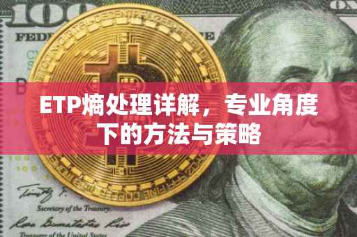 ETP熵处理详解，专业角度下的方法与策略