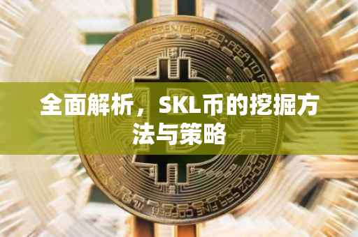全面解析，SKL币的挖掘方法与策略