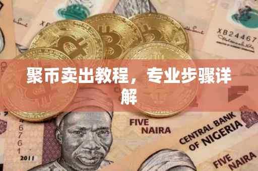 聚币卖出教程，专业步骤详解