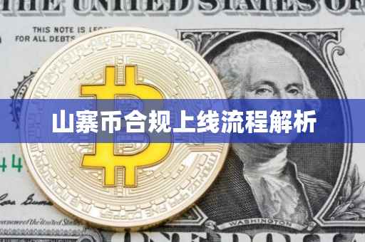 山寨币合规上线流程解析