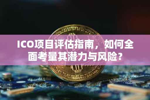 ICO项目评估指南，如何全面考量其潜力与风险？