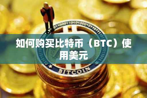 如何购买比特币（BTC）使用美元