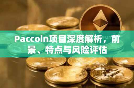Paccoin项目深度解析，前景、特点与风险评估