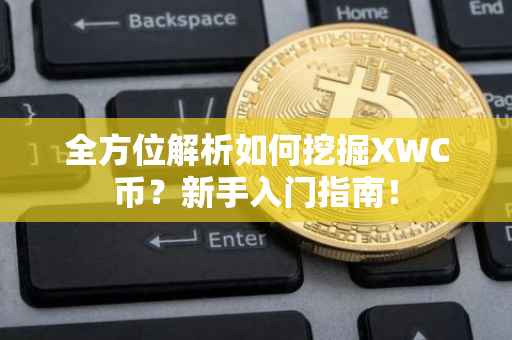 全方位解析如何挖掘XWC币？新手入门指南！