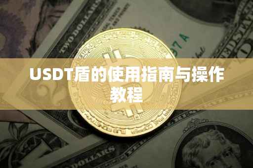 USDT盾的使用指南与操作教程