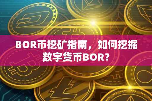 BOR币挖矿指南，如何挖掘数字货币BOR？