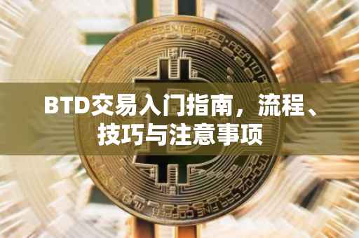 BTD交易入门指南，流程、技巧与注意事项