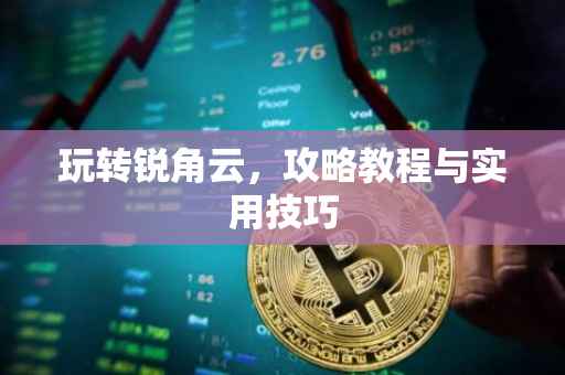 玩转锐角云，攻略教程与实用技巧