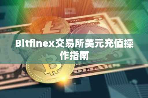 Bitfinex交易所美元充值操作指南
