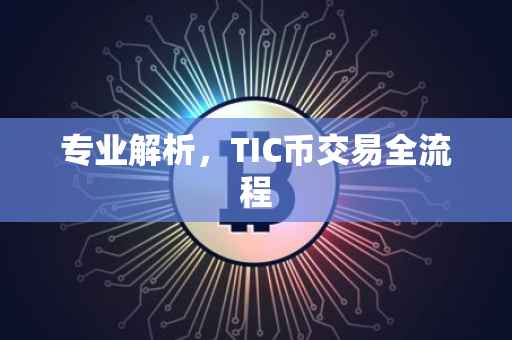 专业解析，TIC币交易全流程