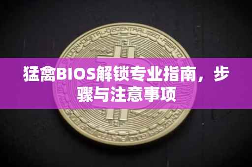 猛禽BIOS解锁专业指南，步骤与注意事项