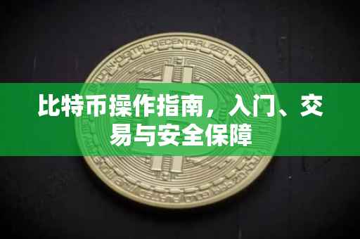 比特币操作指南，入门、交易与安全保障