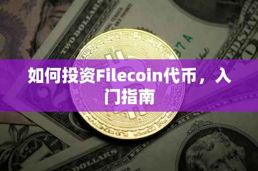 如何投资Filecoin代币,入门指南