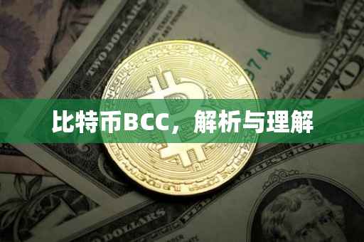 比特币BCC,解析与理解
