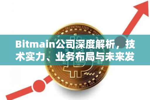 Bitmain公司深度解析，技术实力、业务布局与未来发展