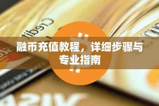 融币充值教程,详细步骤与专业指南