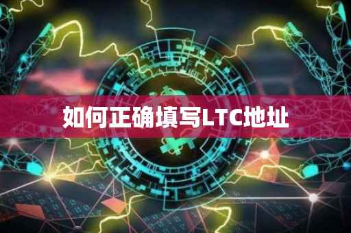 如何正确填写LTC地址