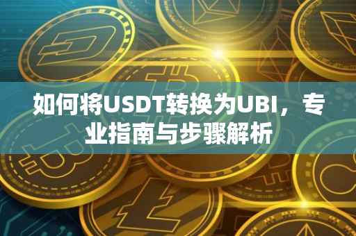 如何将USDT转换为UBI，专业指南与步骤解析