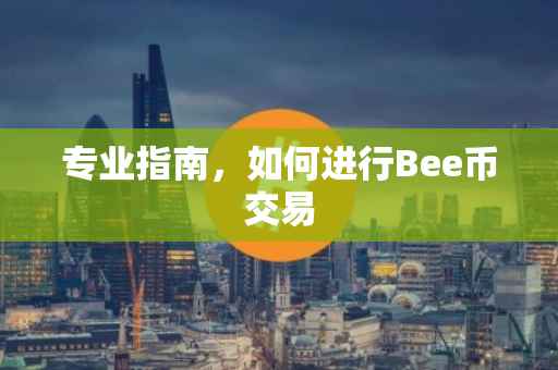 专业指南,如何进行Bee币交易