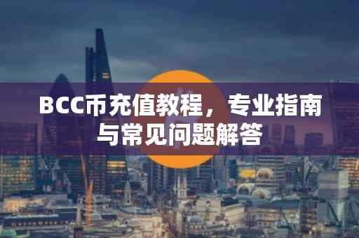 BCC币充值教程，专业指南与常见问题解答