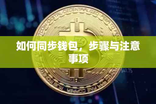 如何同步钱包,步骤与注意事项
