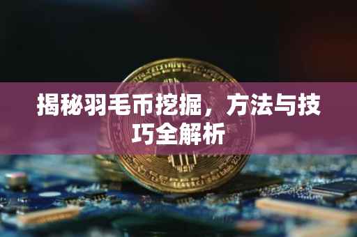 揭秘羽毛币挖掘，方法与技巧全解析