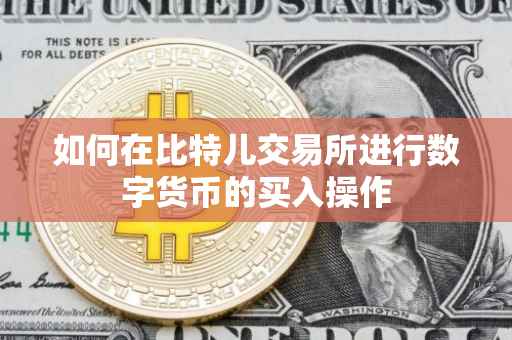 如何在比特儿交易所进行数字货币的买入操作