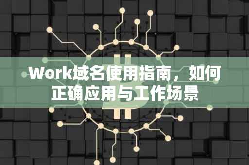 Work域名使用指南，如何正确应用与工作场景