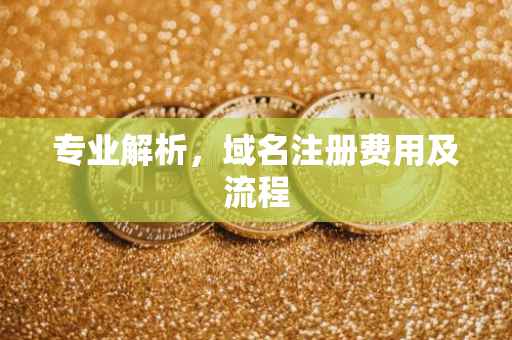 专业解析，域名注册费用及流程