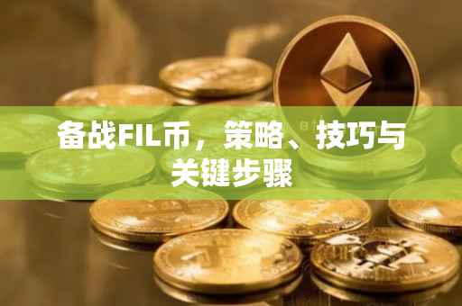 备战FIL币，策略、技巧与关键步骤