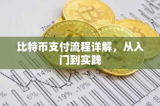比特币支付流程详解，从入门到实践