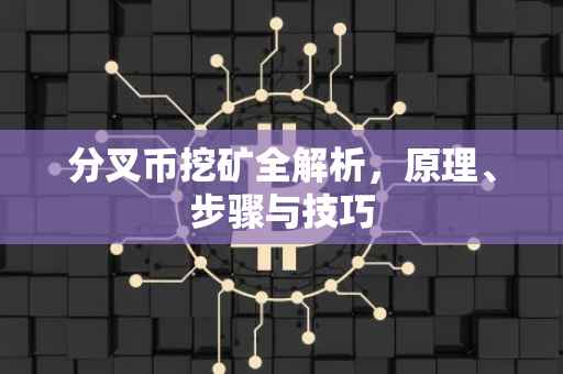 分叉币挖矿全解析，原理、步骤与技巧