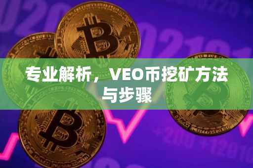 专业解析，VEO币挖矿方法与步骤