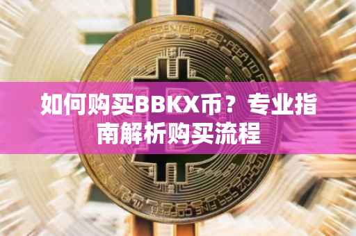 如何购买BBKX币？专业指南解析购买流程