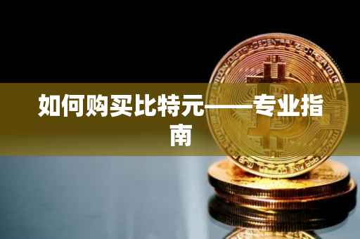 如何购买比特元——专业指南