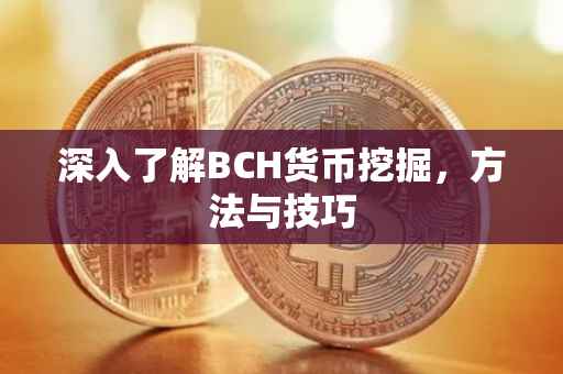 深入了解BCH货币挖掘，方法与技巧