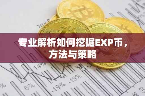 专业解析如何挖掘EXP币，方法与策略